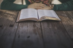 lightstock_112702_medium_user_769296