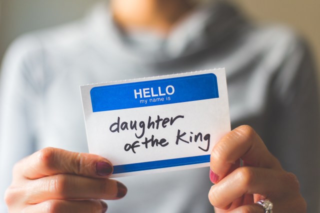 lightstock_348310_medium_steve_lamotte